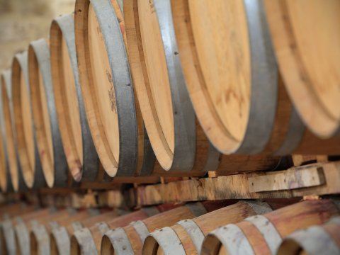 chateau dollieres 11